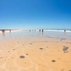 Polluted beach in San Diego affected by sewage from Tijuana