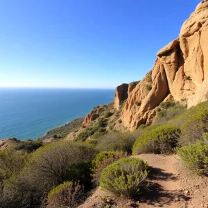 Coastal hiking trails in San Diego with stunning ocean views