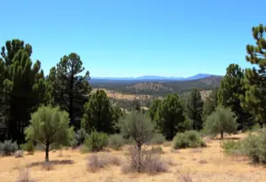 Scenic view of Elfin Forest, California with greenery and open space.